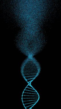 Oksidatif DNA Genetik Bozukluk Moleküler Yapısı