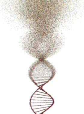 Oksidatif DNA Genetik Bozukluk Moleküler Yapısı