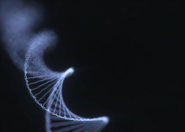DNA Hasarlı Genetik Bozukluk Moleküler Yapısı