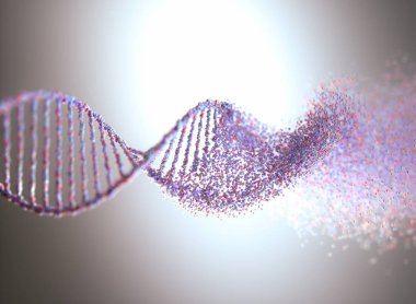 Oksidatif DNA Genetik Bozukluk Moleküler Yapısı