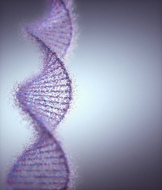 Oksidatif DNA Genetik Bozukluk Moleküler Yapısı