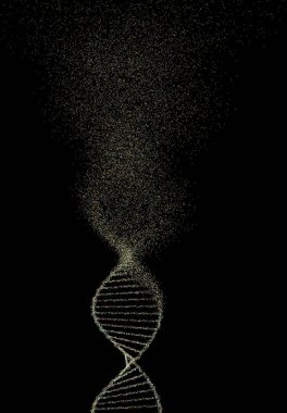 Oksidatif DNA Genetik Bozukluk Moleküler Yapısı