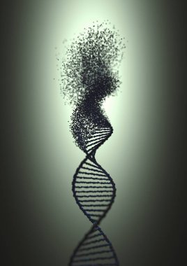 Oksidatif DNA Genetik Bozukluk Moleküler Yapısı