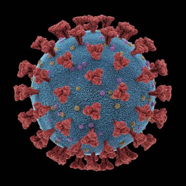 Coronavirus Respiratory Infections Viruses Mutation Clipping Path