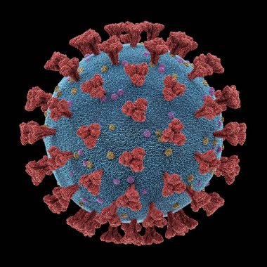 Coronavirus Respiratory Infections Viruses Mutation Clipping Path clipart