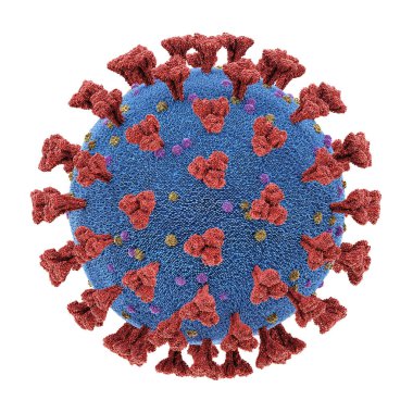 Coronavirus Respiratory Infections Viruses Mutation Clipping Pat