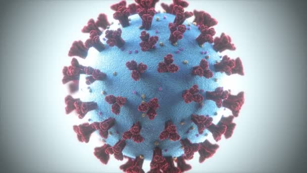 Coronavirus Grupp Virus Som Orsakar Sjukdomar Hos Däggdjur Och Fåglar — Stockvideo