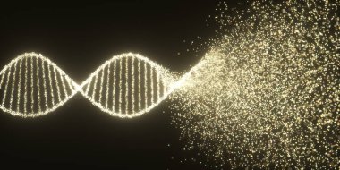 Genetik Bozukluk DNA Molekül Yapısı