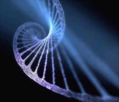 Nükleotidler adı verilen moleküller tarafından yapılan DNA 'nın 3 boyutlu çizimi. Nitrojen bazlarının dört türü Adenine, Thymine, Guanine ve Cytosine 'dir..