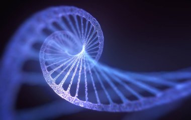 Nükleotidler adı verilen moleküller tarafından yapılan DNA 'nın 3 boyutlu çizimi. Nitrojen bazlarının dört türü Adenine, Thymine, Guanine ve Cytosine 'dir..