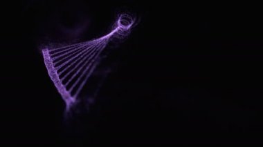 Bir DNA molekülünün oluşumunun hareketli grafikleri. Hareketli noktalar sarmal yapısına bağlanıyor.