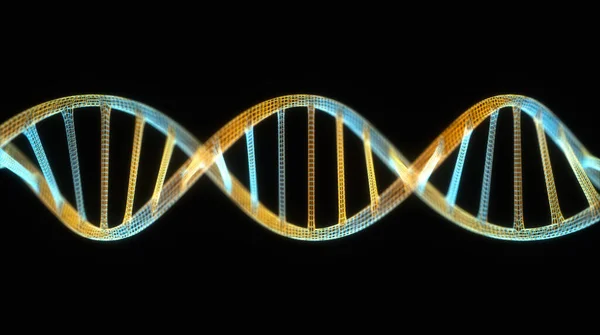 Illustration Der Dna Die Von Molekülen Namens Nukleotide Hergestellt Wird — Stockfoto