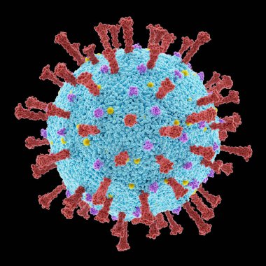 Kırpma yolu içeren virüs kavramsal. Bir virüsün yapısı. Covid-19, Coronavirus, Grip, HIV. Bulaşıcı hastalıkların kavramsal görüntüsü. 3B illüstrasyon.