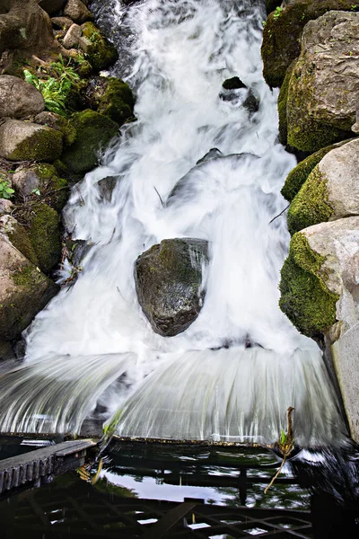 Orman doğasının bağrında büyük bir şelale. Etkisini aktarmak için su çözünmüş..