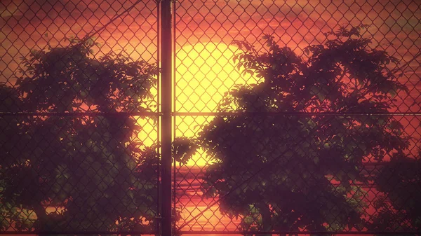 80 'ler Çit Günbatımı Geçmişi