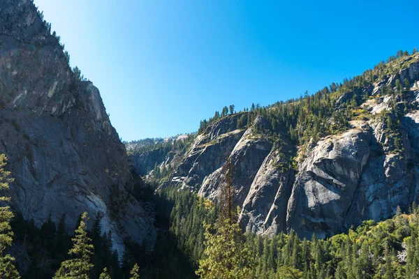 Чудесна панорама Йосемітського національного парку з прекрасними лісами та скелями — стокове фото