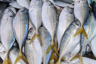 Pazardaki kuru balık.