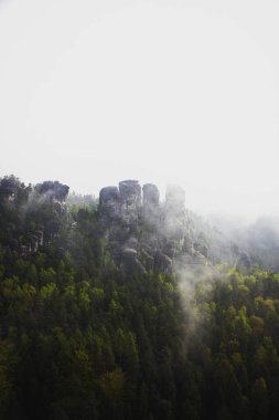 Almanya, Saksonya 'da sis kaplı Elbe Kum Taşı Dağları' nın panoramik manzarası