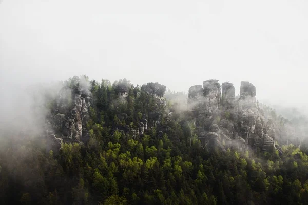 Panoramatický výhled na Labské pískovce pokryté mlhou v Sasku, Německo — Stock fotografie