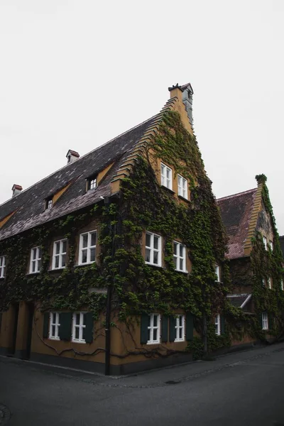 Ivy ha coperto la casa di Fuggerei in Augusta, Baviera in Germania — Foto Stock