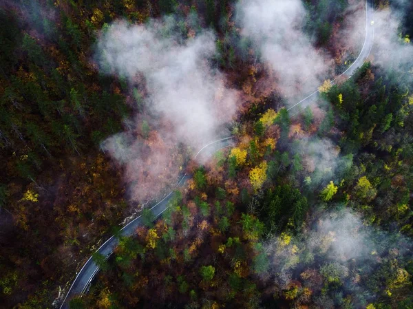 Schlängelnde Bergstraße in einem bunten Wald in den Wolken bei blaubeuren in Baden-Württemberg, Deutschland — Stockfoto