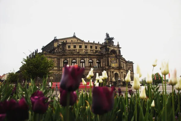 Semperoper Drážďanech Sasko Rámováno Kvetoucími Květy — Stock fotografie