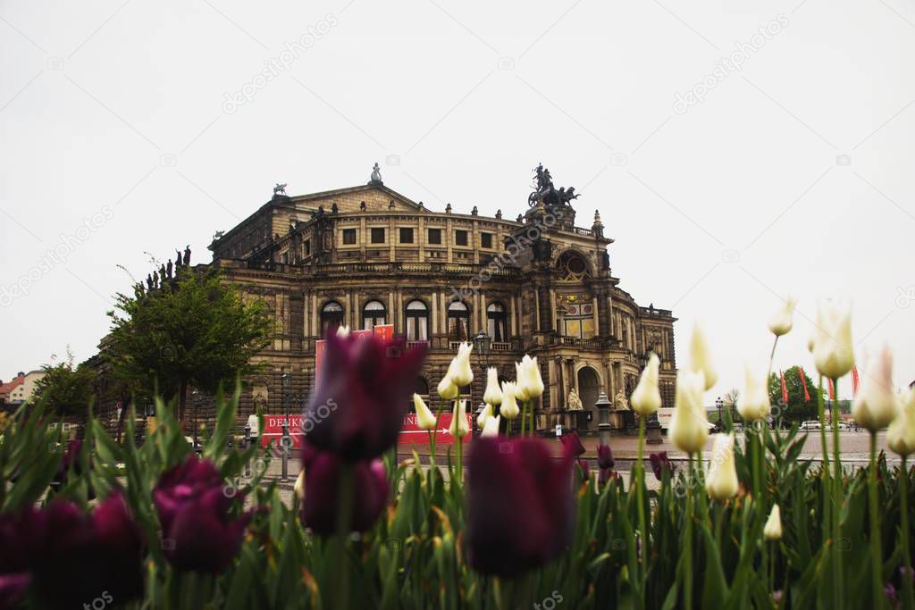 Semperoper in Dresden, Saxony framed by blooming flowers
