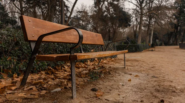 Izolovaná dřevěná lavička v Retiro Parku, za zamračeného dne za úsvitu v Madridu. — Stock fotografie