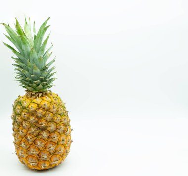 Görüntünün solunda beyaz bir zemin üzerinde izole edilmiş ananas ve sağda metin için boşluk. Sağlıklı gıda konsepti.