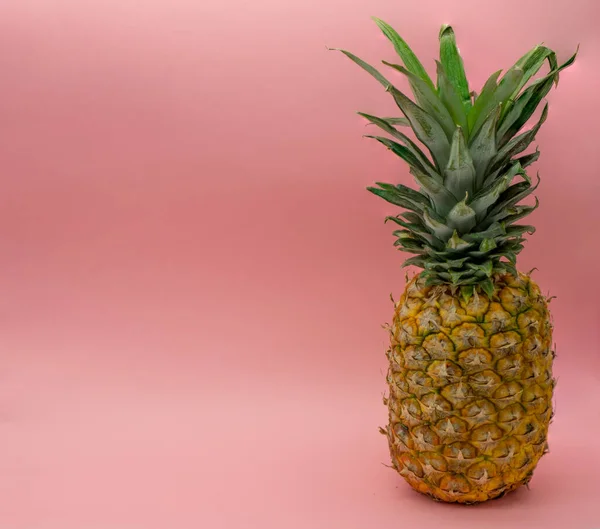 Piña aislada sobre fondo rosa a la derecha de la imagen con espacio para texto a la izquierda. Concepto de comida saludable . — Foto de Stock