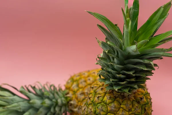 Abacaxis isolados sobre fundo rosa com espaço para texto no canto superior esquerdo da imagem. Conceito de alimentação saudável . — Fotografia de Stock