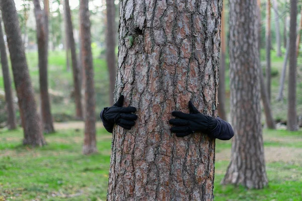 View of hands with globes hugging a tree on the woods. Concept sustainability.