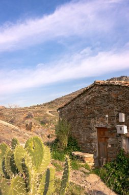 İspanya 'nın Madrid kentindeki Patones de Arriba köyünde ön planda kaktüs bulunan taş bir evin dikey görüntüsü. Seyahat kavramı.