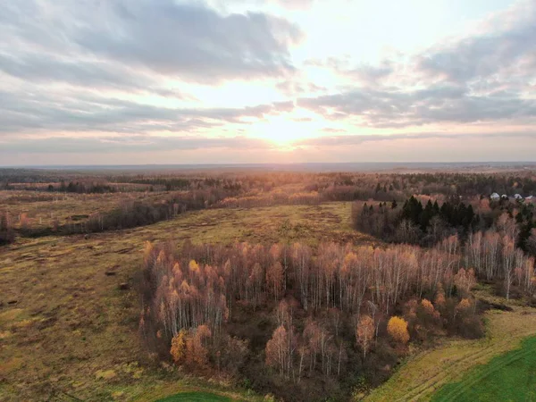 Widok z lotu ptaka na złoty jesienny las. Piękna panorama krajobrazu — Zdjęcie stockowe