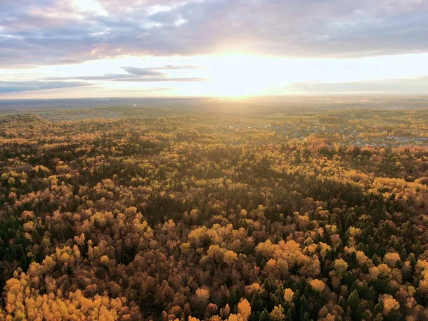 Vista aérea da floresta dourada do outono. Belo panorama da paisagem — Fotografia de Stock