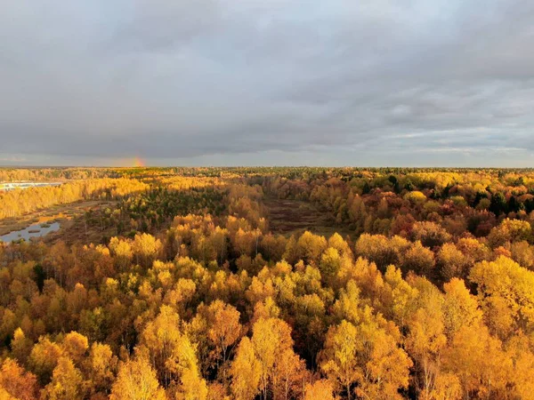 Вид с воздуха на золотой осенний лес. Красивая панорама пейзажа — стоковое фото
