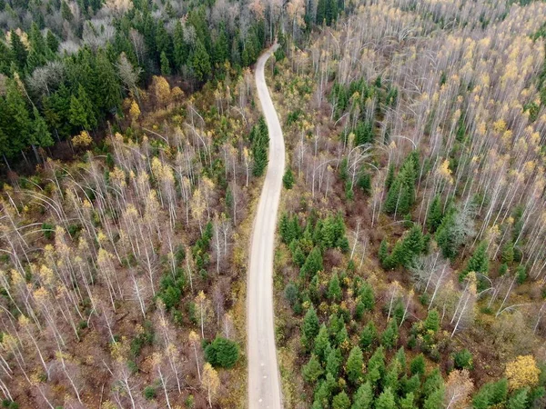 Veduta aerea della foresta dorata autunnale. Bellissimo panorama del paesaggio — Foto Stock