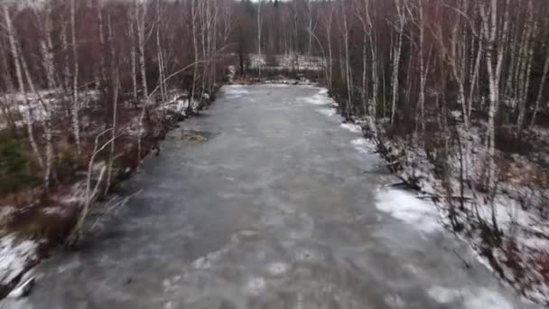 凍った森の湖の風景の空中ビューパノラマ 冬の森と氷に覆われた湖 — ストック動画
