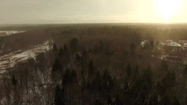 晴天下大雪 空中的景色掠过冬季森林的树冠 美丽的自然景观 — 图库视频影像