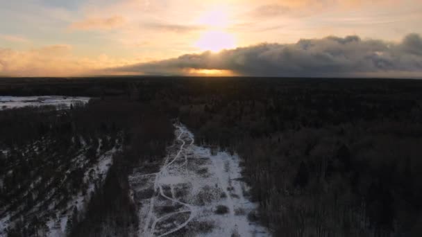 Letecký Pohled Let Nad Zimním Lesem Rozbřesku Krásné Panorama Východu — Stock video
