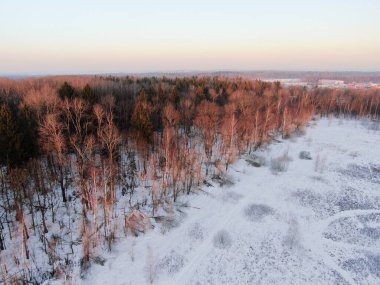Yükselen güneşin ışınlarında hava manzaralı kış ormanı. Altın Kış Şafağı. İHA 'daki resim.