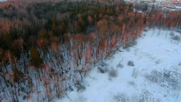 Flygfoto Flyger Över Vinterskogen Vid Soluppgången Den Gyllene Timmen Vackert — Stockvideo