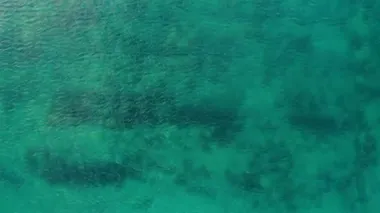 Güzel turkuaz suyla sakin bir denizin üzerinde uçan hava manzarası. Temiz deniz sahili suyu.