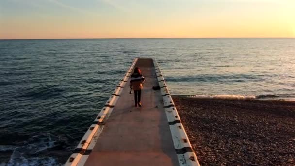 Luftaufnahme Junge Fotografin Geht Mit Einer Kamera Strand Der Goldenen — Stockvideo