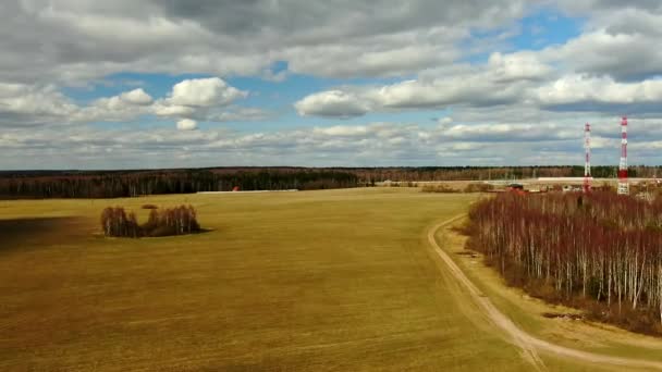 用橘红色的草飞过一个斜面的田野 美丽明亮的自然全景与无人驾驶飞机 — 图库视频影像