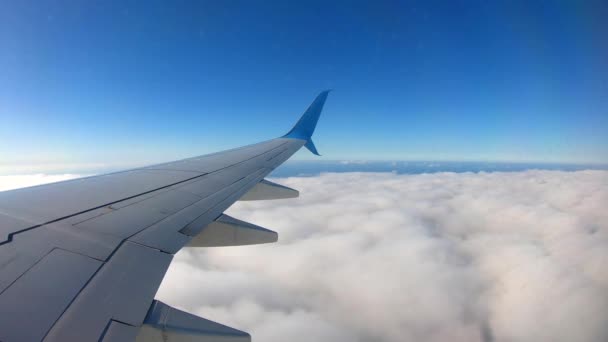 飛行機の青い空の中で雲の上を飛んでいます 航空機の窓からの乗客の眺め — ストック動画