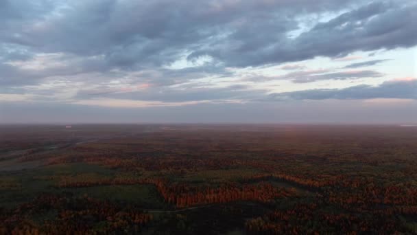 Großer Höhe Über Dem Wald Den Strahlen Der Untergehenden Sonne — Stockvideo