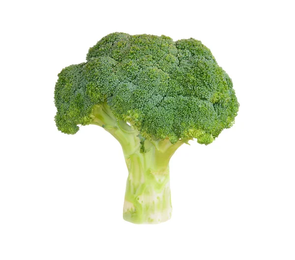 Brocoli avec gouttelettes d'eau — Photo