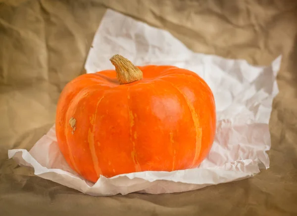 Small decorative pumpkin — Stock Photo, Image