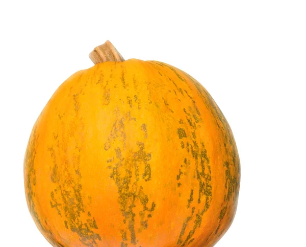 Part of pumpkin — Stock Photo, Image
